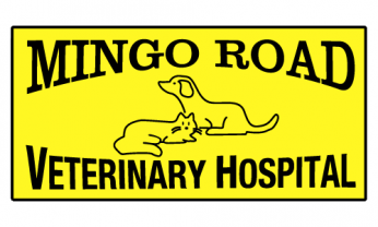 business logo
